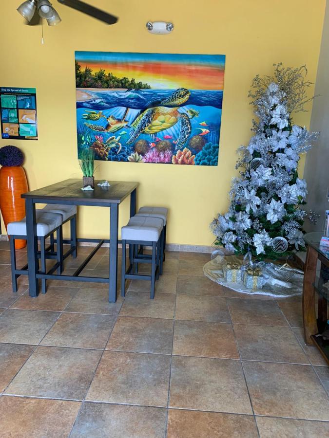 לה פארגוארה Parador Turtle Bay Inn מראה חיצוני תמונה