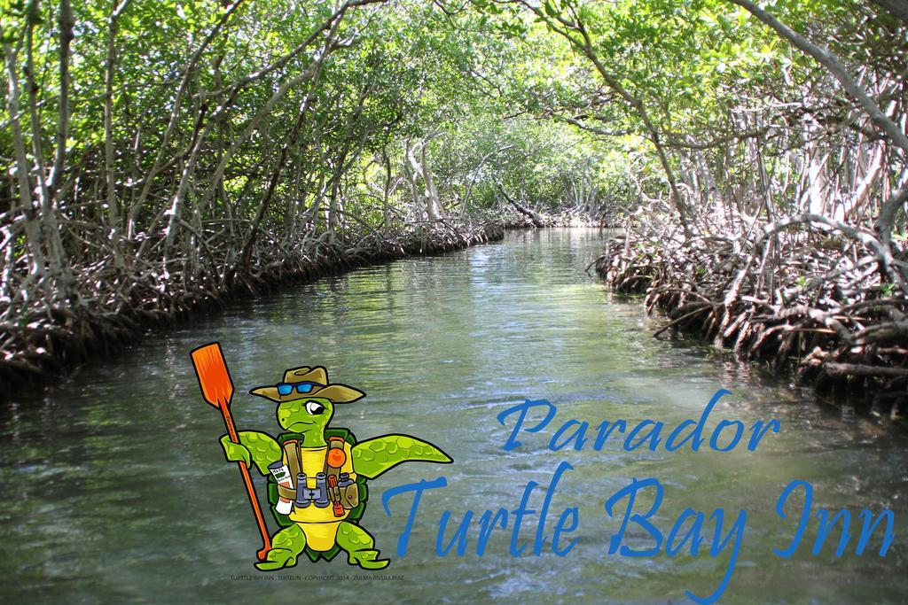 לה פארגוארה Parador Turtle Bay Inn מראה חיצוני תמונה