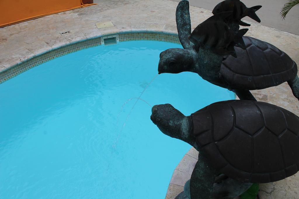 לה פארגוארה Parador Turtle Bay Inn מראה חיצוני תמונה